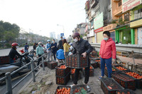 Hà Nội: Chung tay “giải cứu” nông sản cho người dân vùng dịch