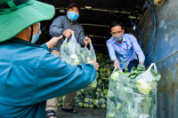 Hà Nội: Chung tay “giải cứu” nông sản cho người dân vùng dịch