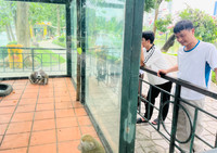 Cây xanh, vườn thú Hà Nội ra sao sau khi bão Yagi quét qua?