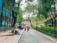 Cây xanh, vườn thú Hà Nội ra sao sau khi bão Yagi quét qua?