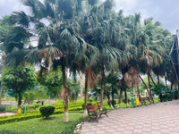 Cây xanh, vườn thú Hà Nội ra sao sau khi bão Yagi quét qua?