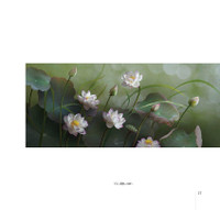 Hoa sen đẹp tinh khôi qua các bức ảnh của Hoàng Bích Vân