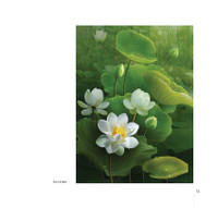 Hoa sen đẹp tinh khôi qua các bức ảnh của Hoàng Bích Vân