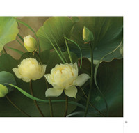 Hoa sen đẹp tinh khôi qua các bức ảnh của Hoàng Bích Vân