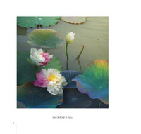 Hoa sen đẹp tinh khôi qua các bức ảnh của Hoàng Bích Vân