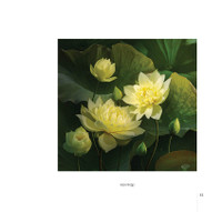 Hoa sen đẹp tinh khôi qua các bức ảnh của Hoàng Bích Vân