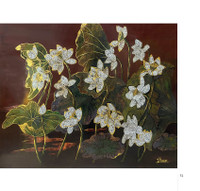 Hoa sen đẹp tinh khôi qua các bức ảnh của Hoàng Bích Vân