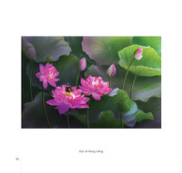 Hoa sen đẹp tinh khôi qua các bức ảnh của Hoàng Bích Vân