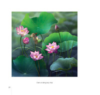 Hoa sen đẹp tinh khôi qua các bức ảnh của Hoàng Bích Vân