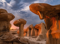 Vùng đất kỳ lạ với các tảng đá có hình thù như cây nấm