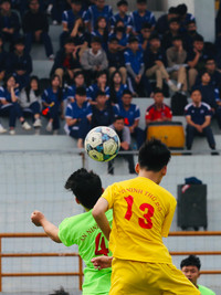 THPT Tự Lập loại THPT Thạch Thất trên chấm luân lưu cân não