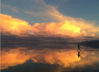 Khoảnh khắc tuyệt đẹp của thiên nhiên