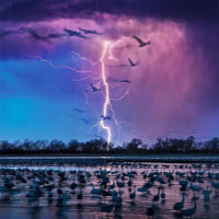 Khoảnh khắc tuyệt đẹp của thiên nhiên