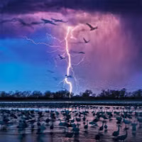 Khoảnh khắc tuyệt đẹp của thiên nhiên