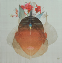 Những cô nàng trút xiêm y trên nền lụa mỏng manh