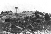 Ảnh tư liệu quý hiếm về vùng đất Nghệ An - Hà Tĩnh đầu thế kỷ 20