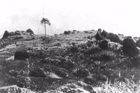 Ảnh tư liệu quý hiếm về vùng đất Nghệ An - Hà Tĩnh đầu thế kỷ 20