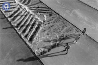 Ảnh đen trắng Việt Nam và quốc tế tại cuộc thi ảnh nghệ thuật quốc tế lần thứ 11