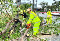 Lực lượng Công an toàn lực hỗ trợ người dân khắc phục hậu quả của bão Noru