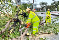Lực lượng Công an toàn lực hỗ trợ người dân khắc phục hậu quả của bão Noru