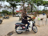 Trưa 30 Tết: Đào, hoa Tết đại hạ giá 