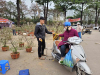 Trưa 30 Tết: Đào, hoa Tết đại hạ giá 