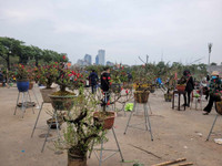 Trưa 30 Tết: Đào, hoa Tết đại hạ giá 