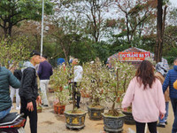 Trưa 30 Tết: Đào, hoa Tết đại hạ giá 