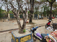 Trưa 30 Tết: Đào, hoa Tết đại hạ giá 