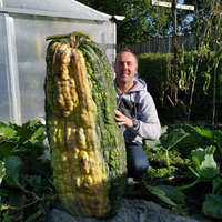 Bí ẩn vùng đất có thể trồng rau củ quả khổng lồ nhất trên thế giới