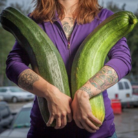 Bí ẩn vùng đất có thể trồng rau củ quả khổng lồ nhất trên thế giới