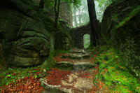 Ngỡ ngàng trước khung cảnh đẹp như mơ trên 