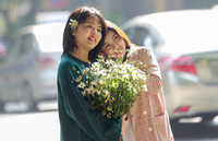 Cúc họa mi xuống phố