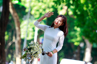 Cúc họa mi xuống phố