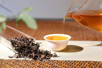 Loại cây cứ bị bọ cắn là tăng giá gấp 13 lần, chỉ trồng được vài tỉnh thành ở Việt Nam