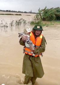 Giúp dân vượt lũ