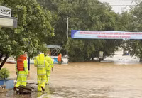 Giúp dân vượt lũ