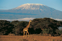 Điểm tên những ngọn núi cao nhất ở từng lục địa