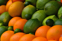 Những điều chưa biết về các loài cây cam, chanh