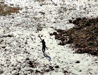 Câu chuyện ly kỳ về bộ lạc tồn tại 60.000 năm trên đảo hoang, sống cô lập với thế giới hiện đại