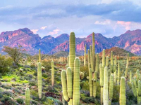 Khám phá những sa mạc đẹp nhất hành tinh