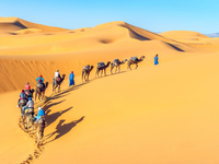 Khám phá những sa mạc đẹp nhất hành tinh