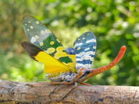 Những loài động vật quái dị trong tự nhiên ở Việt Nam