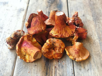 Loại mốc đặc biệt có khả năng biến các cây nấm thành 