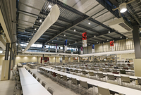 Khám phá Làng vận động viên Olympic Tokyo