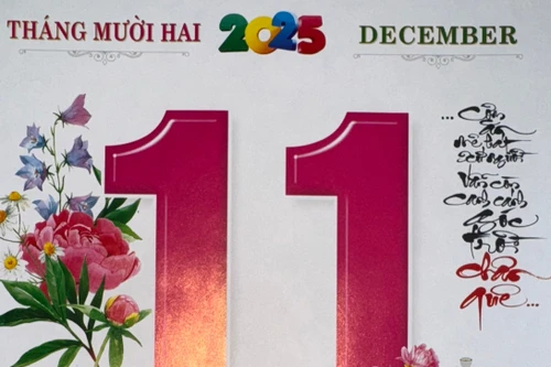 Xem lịch âm - Lịch vạn sự hôm nay ngày 11 tháng 12 năm 2025 tốt hay xấu?