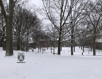 Du học sinh Việt Nam chụp cảnh nước Mỹ lạnh lẽo kỷ lục trong vòng 100 năm qua