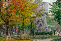 Phố Hà Nội đẹp ngỡ ngàng mùa cây trút lá