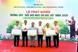 Chung sức phát triển mảng xanh, nâng cao chất lượng sống cho cộng đồng