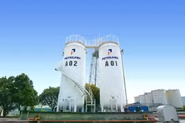 Petrolimex tăng tốc chuyển đổi kinh doanh xăng E10 từ giữa tháng 5/2026